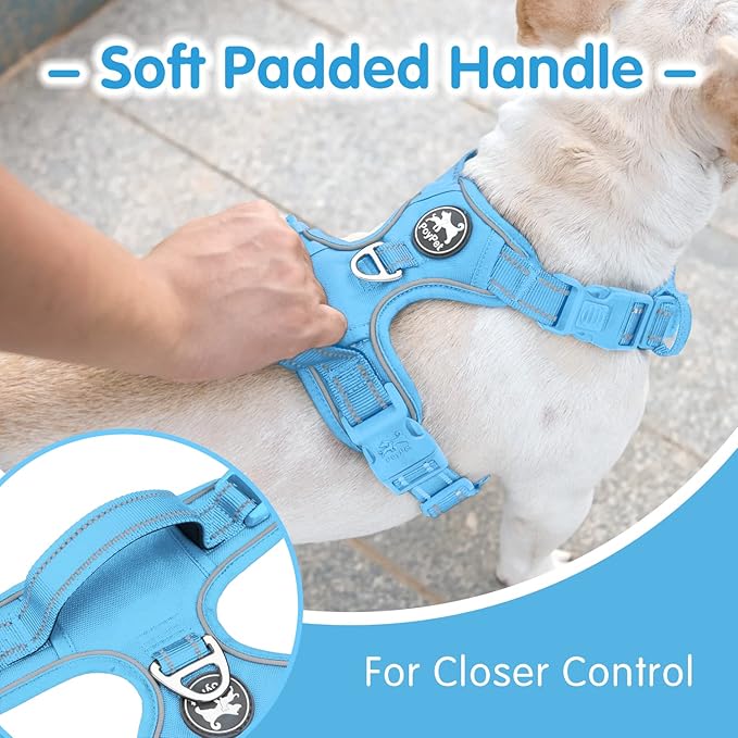 PoyPet No Pull Dog Harness and 5 Feet Leash Set, Release on Neck Reflective Adjustable Pet Vest, Front & Back 2 D-Ring and Soft Padded Pet Harness with Handle for Small to Large Dogs(Light Blue,M)