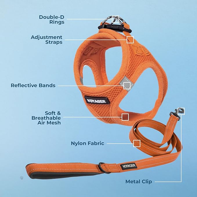 Voyager Step-in Air All Weather Mesh Harness and Reflective Dog 5 ft Leash Combo with Neoprene Handle, for Small, Medium and Large Breed Puppies by Best Pet Supplies - Harness Leash Set (Orange), XS
