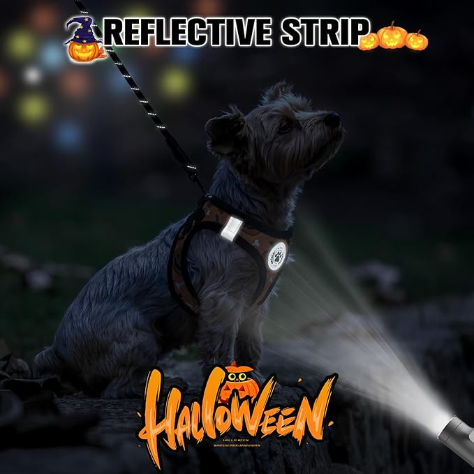 BEAUTYZOO Step in Dog Harness and Leash Set,Floral Pattern Reflective Dog Harness No Pull No Choke Puppy Harness for Medium Dogs Cats,Soft Padded Mesh Vest Harnesses for Girl and Boy Pets, Halloween M