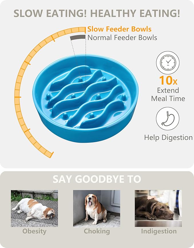 Ceramic Slow Feeder Dog Bowls for Medium and Large Dogs, 2.0 Cups Dog Slow Feeder for Fast Eater, 30oz, 8in, Baby Blue