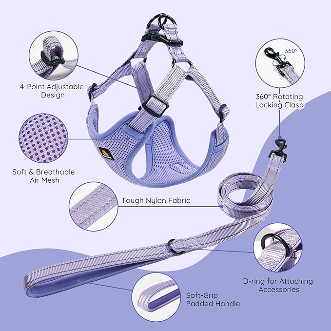 BELLA & PAL Adjustable Step-in Dog Harness, Puppy No-Pull Vest with Leash Set for XS/Small & Medium Dog, Breathable All-Weather Mesh, Reflective Strip, Secure Hook & Loop, Buckle Closure