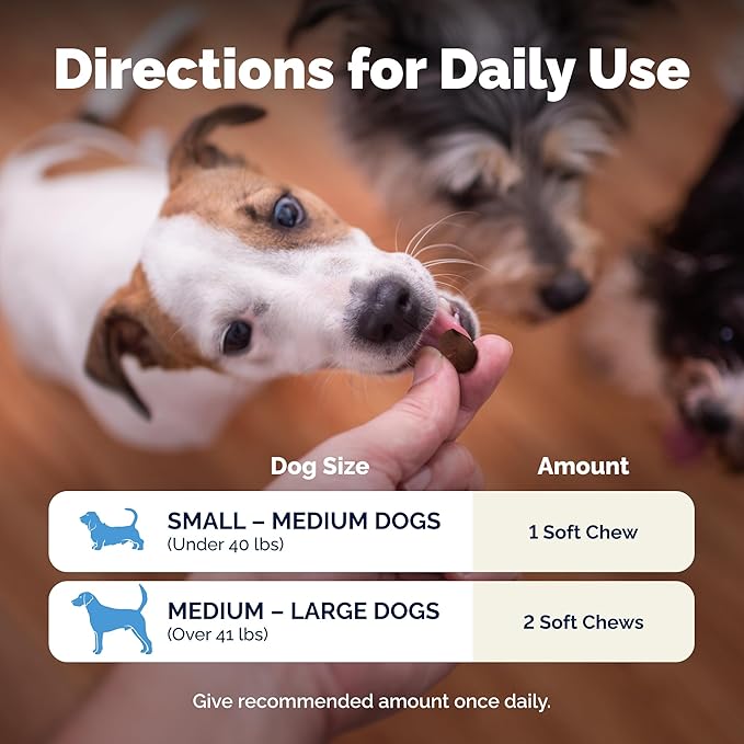 Vetnique Glandex Daily Probiotics for Dogs with Prebiotics to Support Gut Health with Fiber and Digestive Enzymes, Probiotic Chews or Powders (120ct Chews, Bacon Chews)