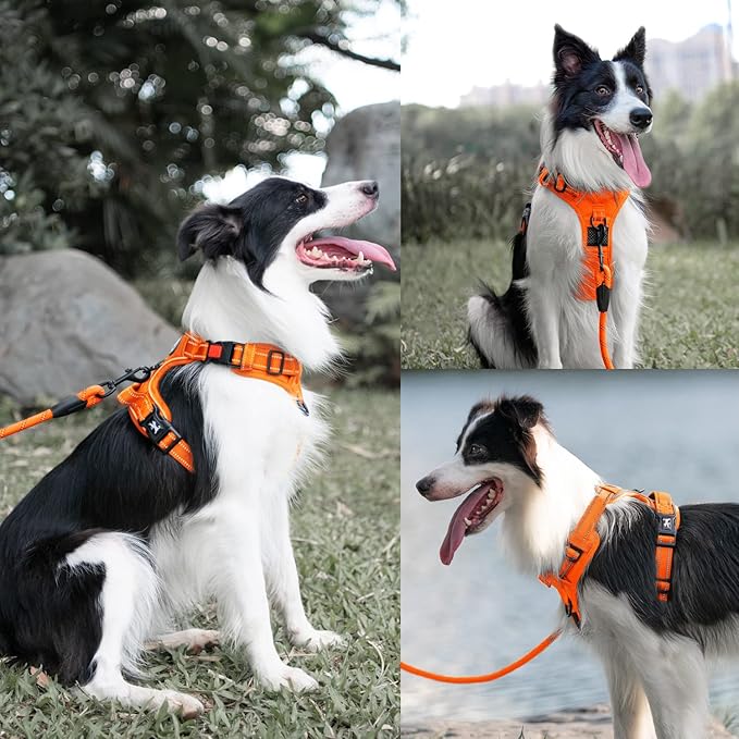 PoyPet No Pull Dog Harness and 5 Feet Leash Set, Release on Neck Reflective Adjustable Pet Vest, Front & Back 2 D-Ring and Soft Padded Pet Harness with Handle for Small to Large Dogs(Orange,L)