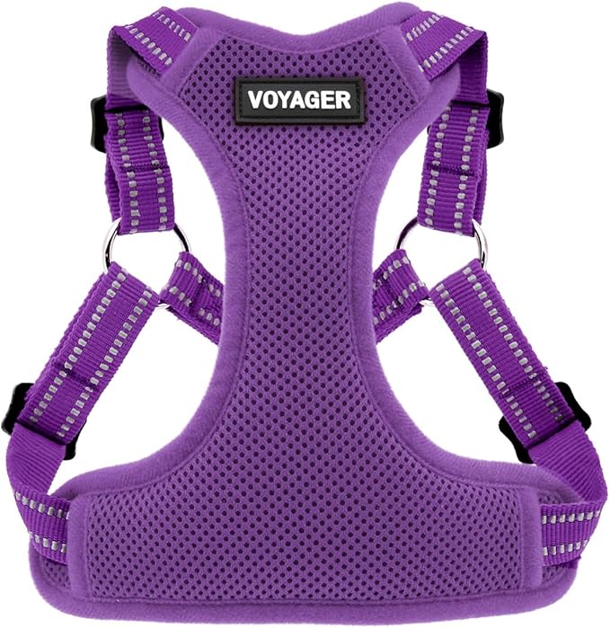 Best Pet Supplies Voyager Mesh Dog Breathable Harness Reflective Stitching, All Weather Adjustable for Walking Training, or Running - Heavy Duty & Durable, Harness (Purple), M