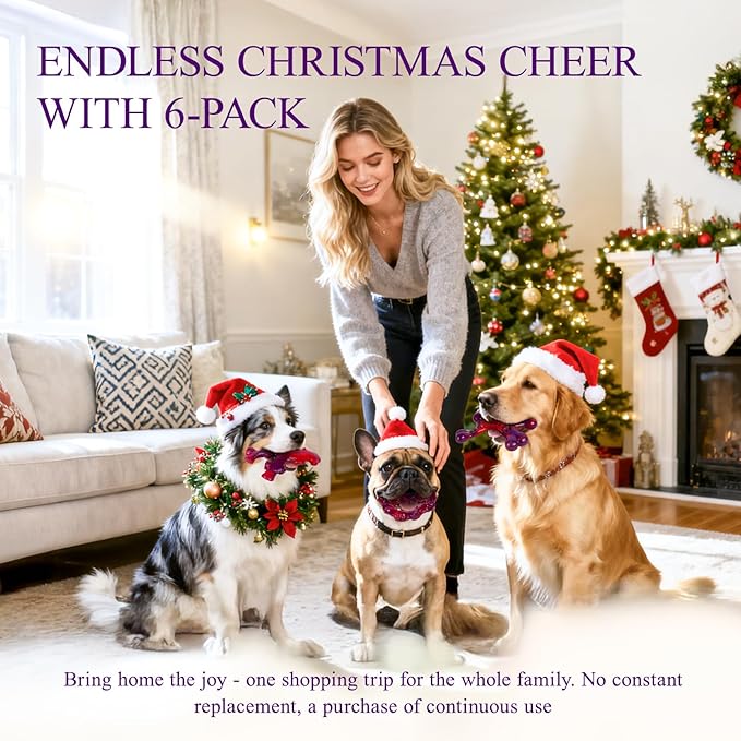 6-Pack Indestructible Dog Toys for Large Breed: Dog Toys for Aggressive Chewers, Nylon Dog Chew Bones for Large Dogs, Dog, Irresistible Beef Flavor