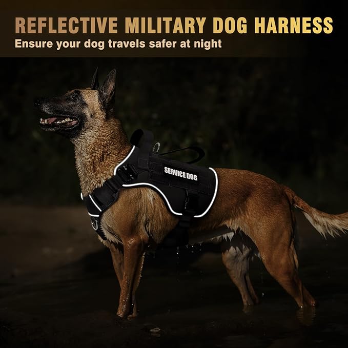 WINSEE Tactical Dog Harness for Medium Dog, Heavy Duty Service Working MOLLE Vest with 10 Pet Patches, 2X Metal Buckle Vest for Training Hunting Walking