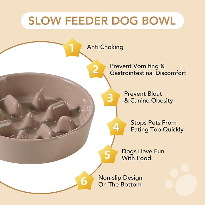 Ceramic 1.2 Cup Raised Slow Feeder Dog Bowl Set, Elevated 6.1inch Bowl and 7.3inch Slow Pet Food Dish with Wooden Stand for Small and Medium Dog (2 x Brown Coffee+ Stand)