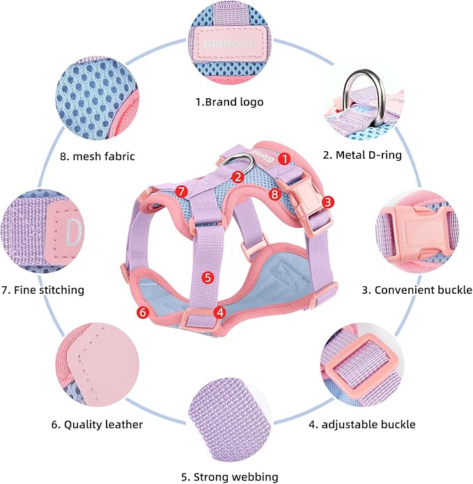 Small Dog Harness and Leash Set, Breathable Mesh Puppy Harness, Adjustable Dog Harness for Small Medium Large Dogs, No-Pull Pet Harness for Daily Walking (Pink, Medium)