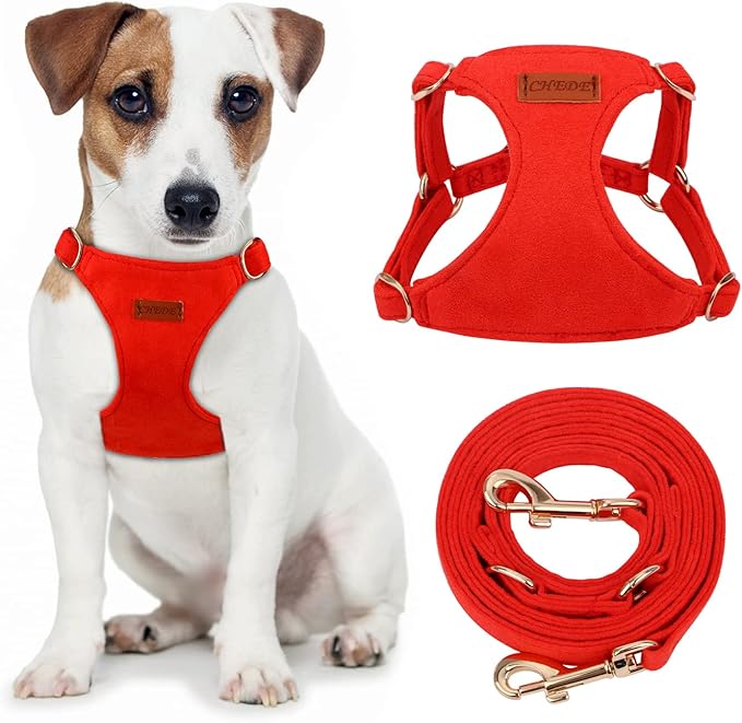 CHEDE No Pull Puppy Harness and Multifunction Dog Leash Set- 8 Colors Soft Adjustable No Choke Escape Proof Cute,Lightweight Pet Vest Harness for Small and Medium Dog (S, Red)