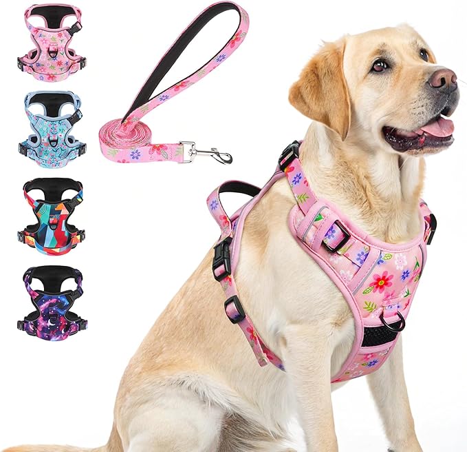BEAUTYZOO No Pull Dog Harness and Leash Set with 2 Metal Leash Clips - Overhead-Free 3 Snap Buckles Design, Adjustable No-Choke Soft Padded Reflective Oxford Pet Vest for Small Medium Large Dogs, L