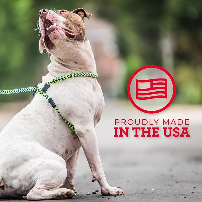 Harness Lead No Pull Dog Harness and Leash Set, Anti Pull Dog Harness, One-Piece Cushioned Rope Safely Prevents Escaping and Pulling *New Insert is Removable (Medium/Large, Peacock/Blue/Lime)