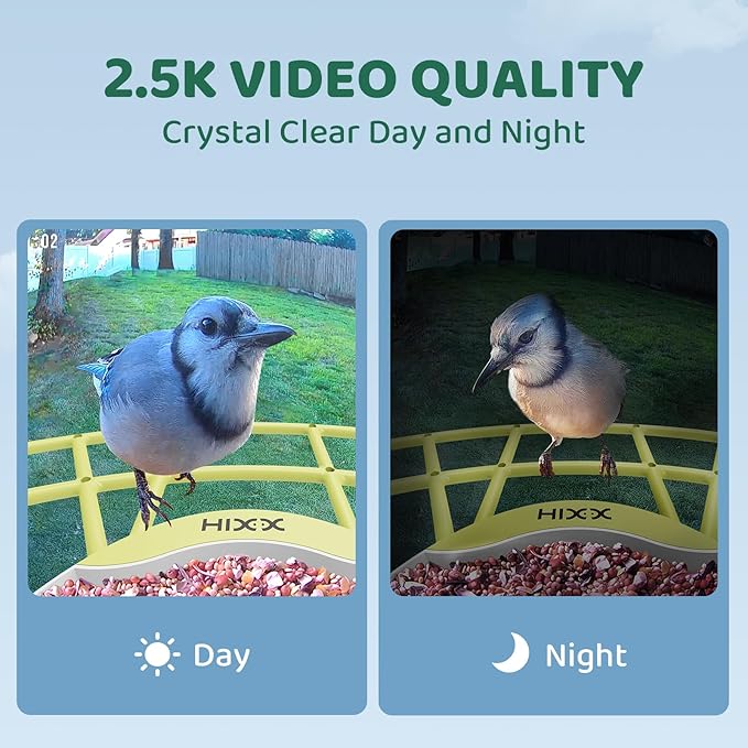 HIXX Smart Bird Feeder with Camera, Lifetime Free AI Identify Birds & Auto Capture, 2K HD Live Camera Birdwatching with Color Night Vision for Bird Lovers Gifts (Spring Green)