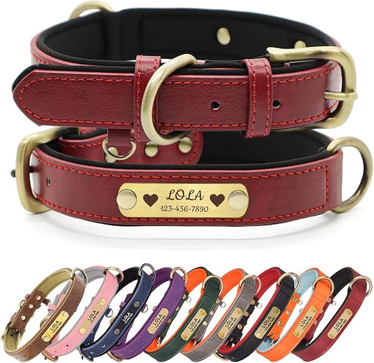 Personalized PU Leather Dog Collar with Custom Brass Nameplate, Multi-Color, Soft Neoprene, Vintage Brass Accessories, Optional Leash (Red, XS (8.5-10.5 Inches))