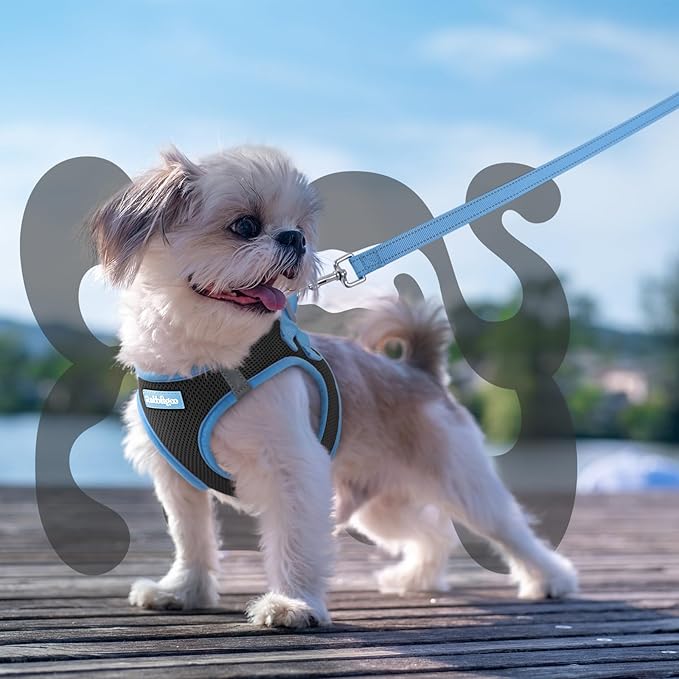 rabbitgoo Dog Harness Small Sized and Leash Set, Step-in Breathable Pet Harness, Soft Walking Reflective Puppy Vest for Small Dogs, Black & Light Blue, XXS