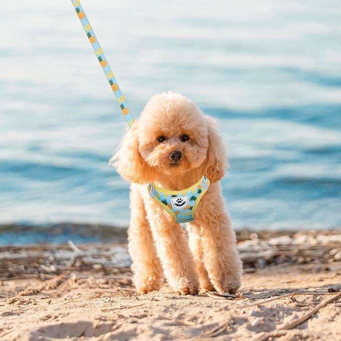 EXPAWLORER Small Dog Harness and Leash Set - Cute Puppy Harness Leash Dog Collar with AirTag Holder Silicone Case, Soft Padded Step in Pet Vest Reflective for Outdoor Walking, Pineapple S