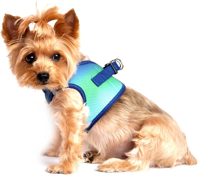 Doggie Design No Choke Dog Harness - Simple Step-in and Go Dog Vest for Small, Medium, and Large Breeds - Breathable Mesh Polyester Pet Harness - Northern Lights - 2XL