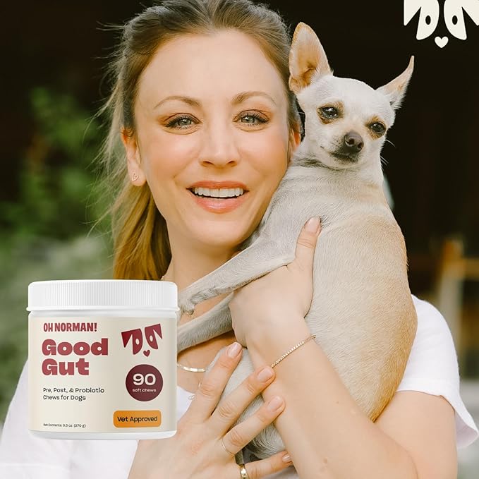 Oh Norman! Probiotic Chews for Dogs, Probiotics for Dogs Digestive Health with Enzymes, Allergy Relief for Seniors, Probiotics for Dog Wellness and Comfort