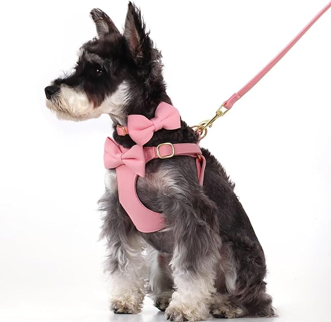Beirui Cute Small Dog Harness Set with Three Detachable Bows, Adjustable Step in Dog Harness Collar and Leash Set with Secure Metal Buckle for Daily Walking, Parties & Holiday Outfits(Pink,S)
