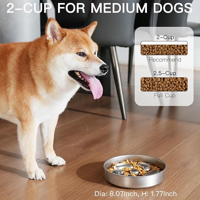 Slow Feeder Dog Bowl-2Cups for Medium Breeds, Double Wall Food-Grade Stainless Steel, Heavy Duty with Non-Slip Rubber Base, Puzzle Maze Bowl to Slow Down Eating