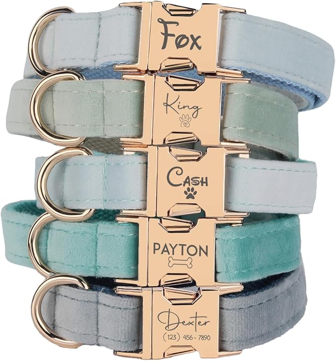 Velvet Harness Set, Gift for Pet Owners, Custom Dog Collar Personalized Name and Phone Number, Custom Collar and Leash for Dogs, Engraved Metal Buckle Collar (X-Large)