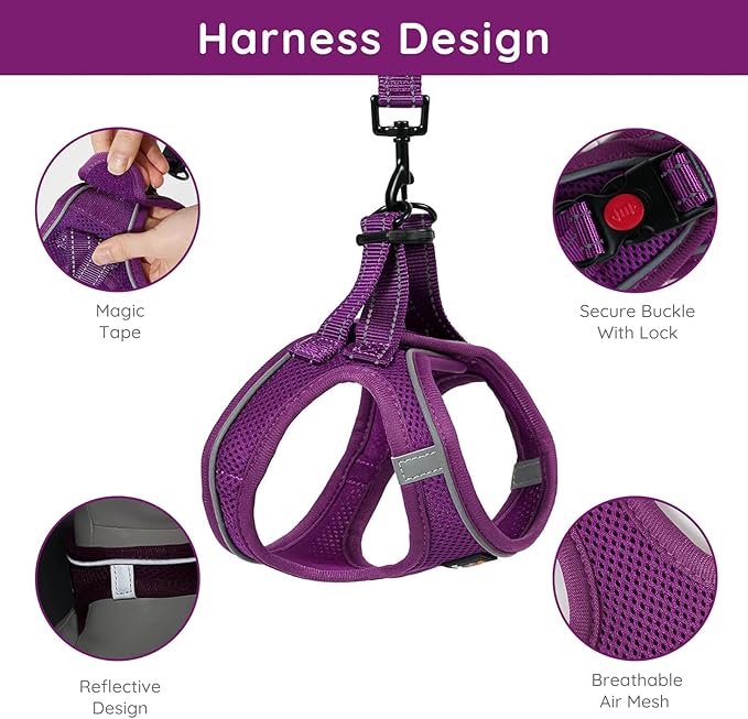 BELLA & PAL Step in Vest Harness for Small and Medium Dogs, No Pull Small Dog Harness with Leash Set, Comfortable Air Mesh Dog Vest Harness with Reflective Strip (Grape Purple, S)