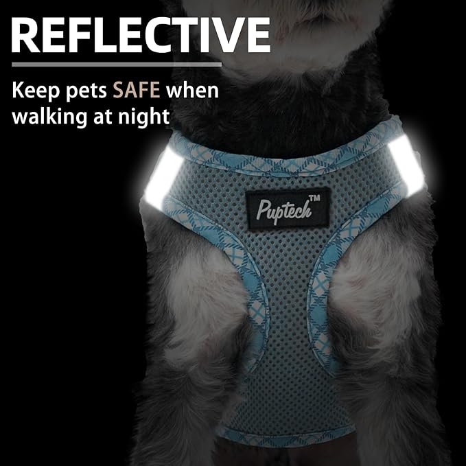 PUPTECK Dog Harness and Leash Set for Small Medium Dogs No Pull Step-in Soft Mesh Puppy Cat Vest Harnesses Reflective at Night, Sky Blue, XS