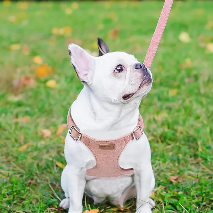 Dog Harness and Leash Set, XXS No Pull Adjustable Puppy Harness with Multifunction Pink Dog Leash and Dog Collar, Soft No Choke Escape Proof Pet Harness Vest for Small Dogs and Cats (Pink, S)