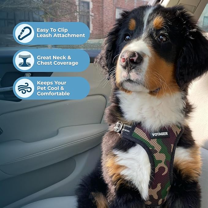 Best Pet Supplies Voyager Mesh Dog Breathable Harness Reflective Stitching, All Weather Adjustable for Walking Training, or Running - Heavy Duty & Durable, Harness (Army/Black Trim), M