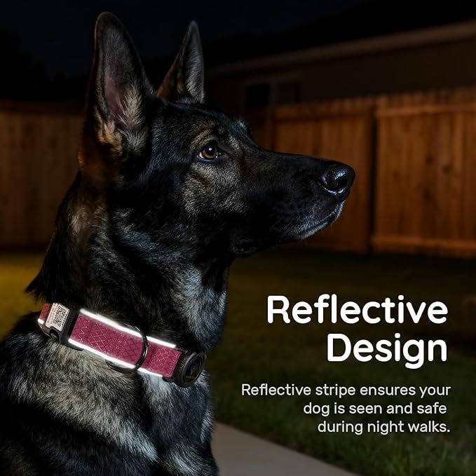 AirTag Dog Collar with QR Code ID & Waterproof Holder - Reflective, Durable Padded Oxford Collar Compatible with Apple AirTags for Large Dogs (Rose Red, L)