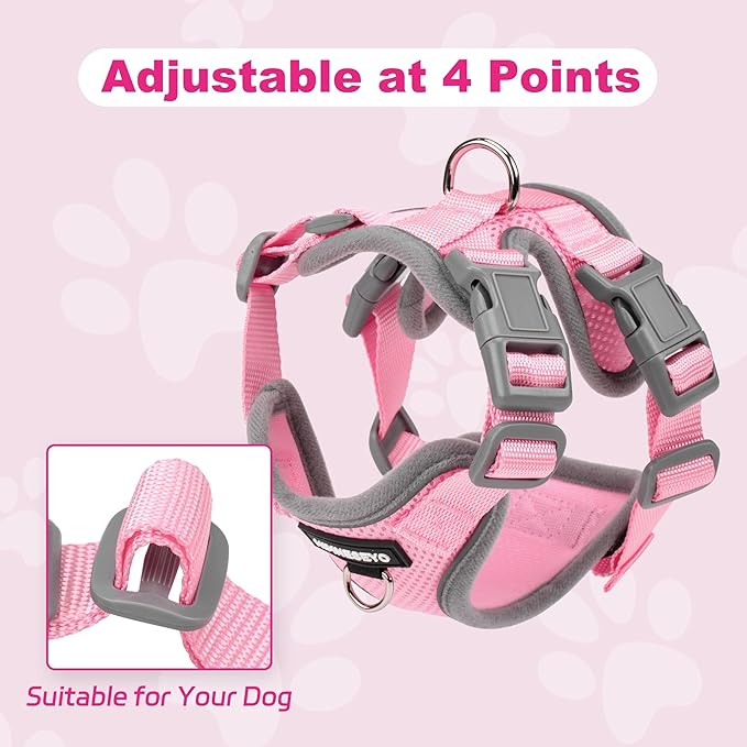 Small Dog Harness and Leash Set, No Pull Adjustable Pet Harness for Small Dogs, Breathable Mesh Rflective Dog Vest Harness (Pink, S)