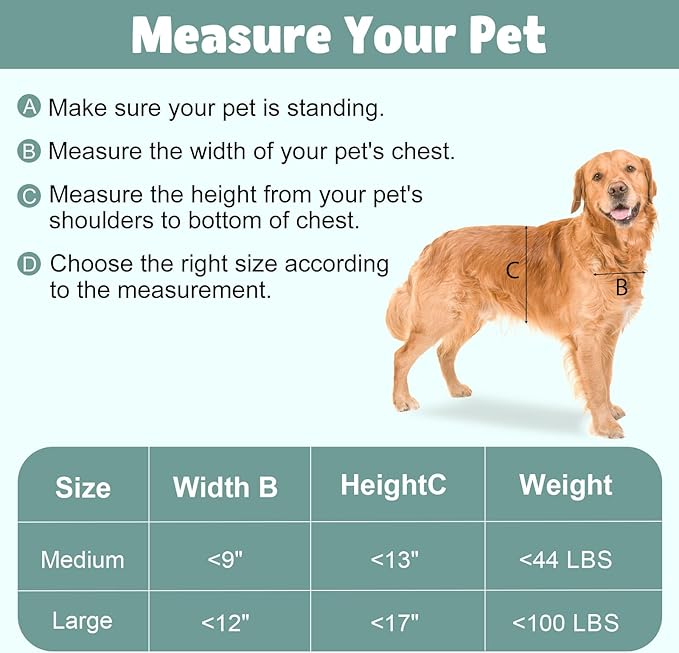 Premium Large Dog Door, Aluminum Pet Door with Double Panels, Doggie Door with Automatic Closing Magnetic Flaps, Slide-in Panel & 4 Security Locks, Weather Resistant & Durable Use, Large