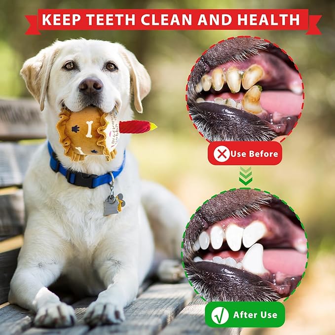 Birthday Dog Toys Crinkle Dog Toy Squeak Cake Toy Aggressive chew Toys for Puppy Sandwiches Pizza Party Dog Toy Interactive Birthday Toy with 3 Pack for Dog Birthday