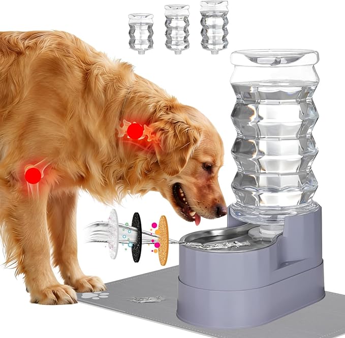 RIZZARI Large Water Dispenser for Dogs: 8L Gravity Gray Automatic Stainless Steel Waterer with Specialized Brush and Triple Filter - Raised Pet Feeder for Senior Dogs with Joint Pain in Bedroom Garden