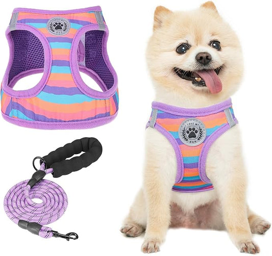 BEAUTYZOO Dog Harness and Leash Set for Small Dogs,No Pull Step-in Harness for Puppy XS S Sized Dogs and Cats,Air Mesh Adjustable Breathable Soft No Choke Escape Proof Vest Harnesses,Striped Purple XS