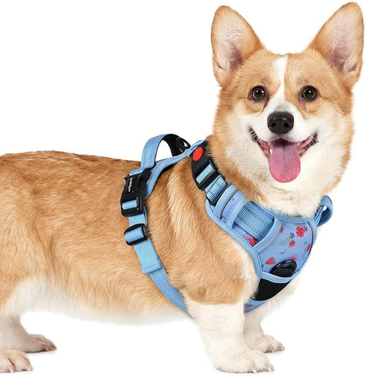 rabbitgoo Dog Harness Small Sized, No Pull Pet Harness with 3 Buckles, Adjustable Soft Padded Vest with Control Handle, Walking Reflective Pet Vest for Small Dogs, Floral Blue, S