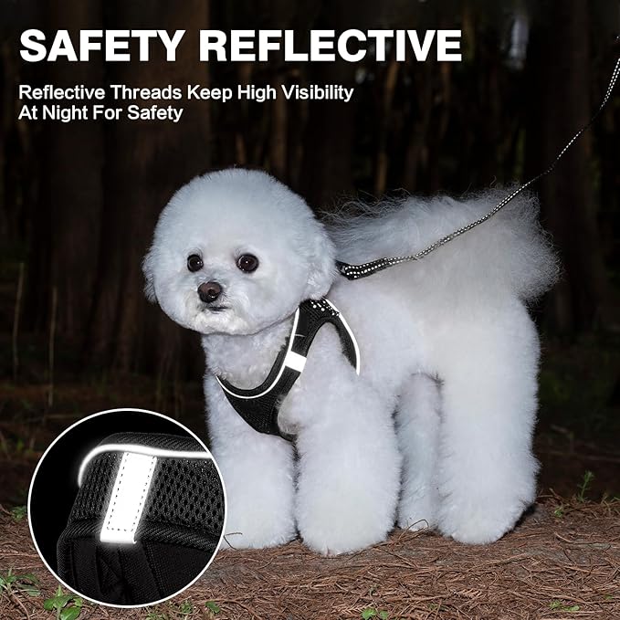 Dog Harness and Leash Set, No Pull Mesh Puppy Harness for Small Medium Sized Dogs, Pet Vest for Walking Running Training, Double D-Rings Reflective Strip