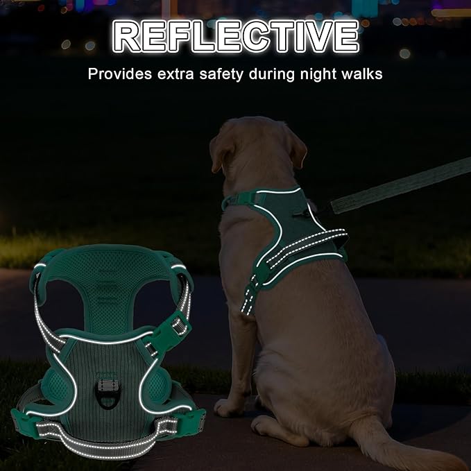 BEAUTYZOO No Pull Dog Harness, Adjustable Dog Harness and Leash Set -Easy Wearing with 3 Buckles/Control Handle,No Choke Soft Padded Reflective Pet Vest for Training Walking Hiking,Solid Aqua Blue XL