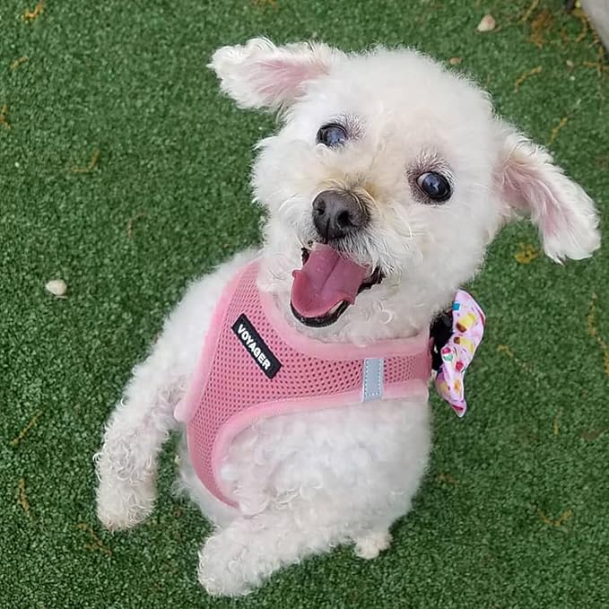 Voyager Step-in Air All Weather Mesh Harness and Reflective Dog 5 ft Leash Combo with Neoprene Handle, for Small, Medium and Large Breed Puppies by Best Pet Supplies - Set (Pink), S