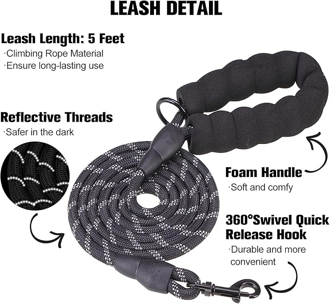 BEAUTYZOO Dog Harness and Leash Set for Small Dogs,No Pull Step-in Harness for Puppy XS S Sized Dogs and Cats,Air Mesh Adjustable Breathable Soft No Choke Escape Proof Vest Harnesses,Striped Teal XXS