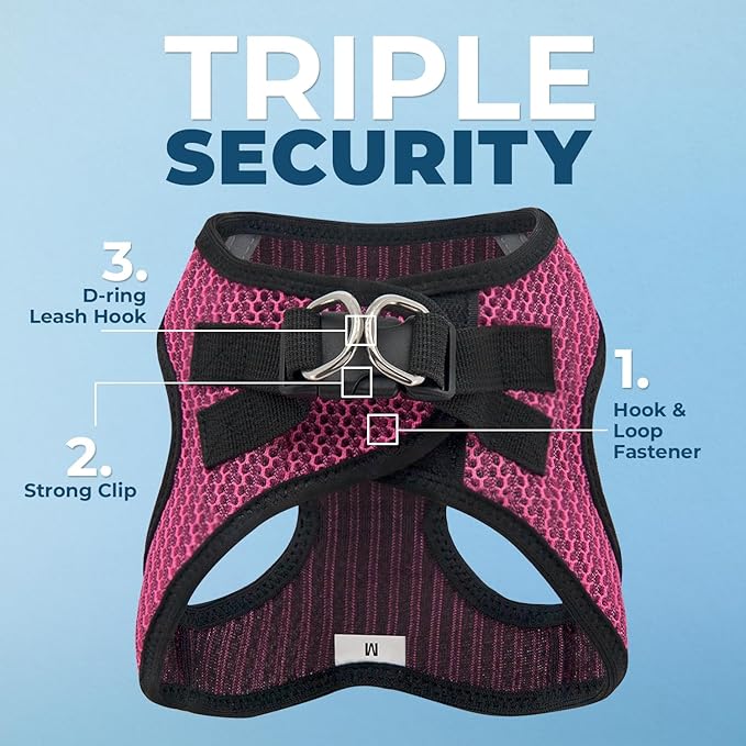 Voyager Step-in Air All Weather Mesh Harness and Reflective Dog 5 ft Leash Combo with Neoprene Handle, for Small, Medium and Large Breed Puppies by Best Pet Supplies - Fuchsia (Leash Bundle), L