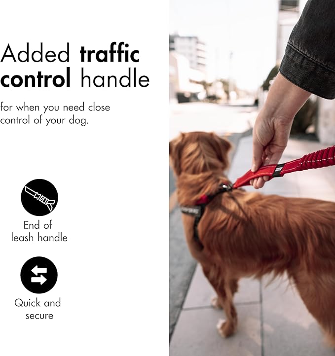 EzyDog Zero Shock Dog Leash - Shock Absorbing Bungee Leash for Dogs That Pull or Excite - Dual Handle and Reflective for Large, Medium, or Small Dogs (48-Inch, Corduroy)