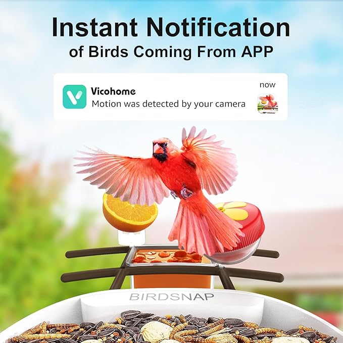 birdsnap® PAV- Smart Bird Feeder with Camera Solar Powered, 64GB Card & 2K HD Record Video Bird Camera Live with 5 DIY Add-ons, AI Identify Auto Capture, Ideal Gift for Birds Lover
