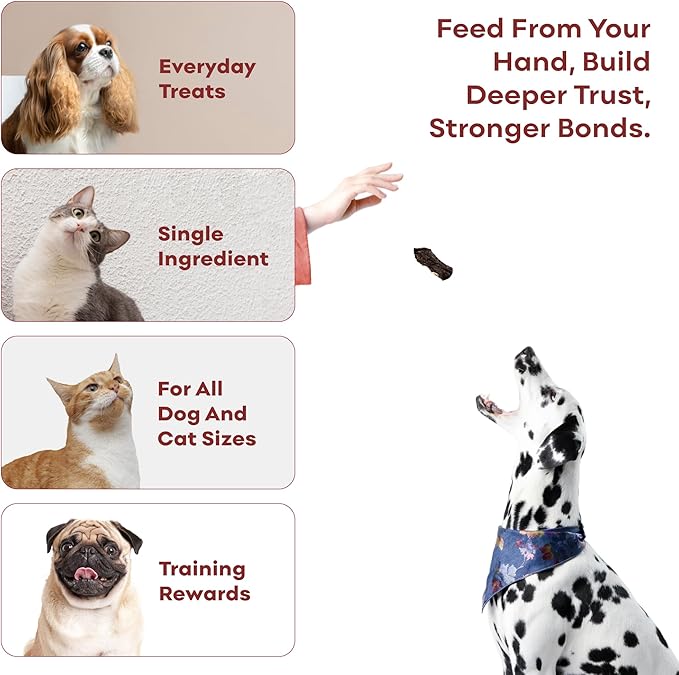 Skona PetFood Beef Heart Jerky Dog Treats & Cat Jerky Treats, High Protein, Single-Ingredient Training Snacks, Grain-Free, USA Made, Rich in Taurine, Supports Digestion & Dental Health, 4oz