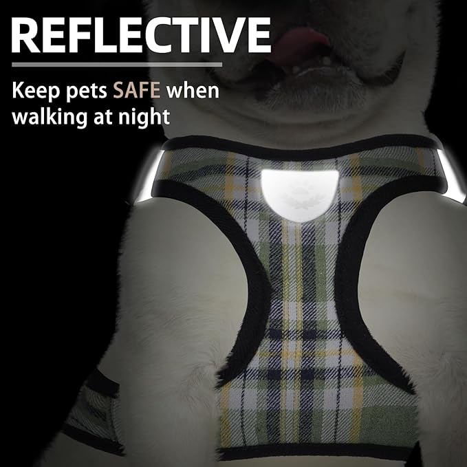 PUPTECK Adjustable Dog Harness Collar and Leash Set Step in No Pull Pet Harness for Small Medium Dogs Puppy and Cats Outdoor Walking Running, Soft Mesh Padded Reflective Vest Harnesses, Grn&YLW, M