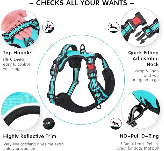 PoyPet No Pull Dog Harness, [Release on Neck] Reflective Adjustable No Choke Pet Vest with Front & Back 2 Leash Attachments(Mint Blue,XS)