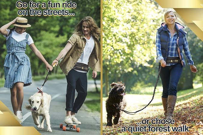 SparklyPets Hands Free Dog Leash for Medium and Large Breeds – Professional Harness with Reflective Stitches for Training, Walking, Jogging and Running Your Pet (Premium Gold Champagne, for 1 Dog)