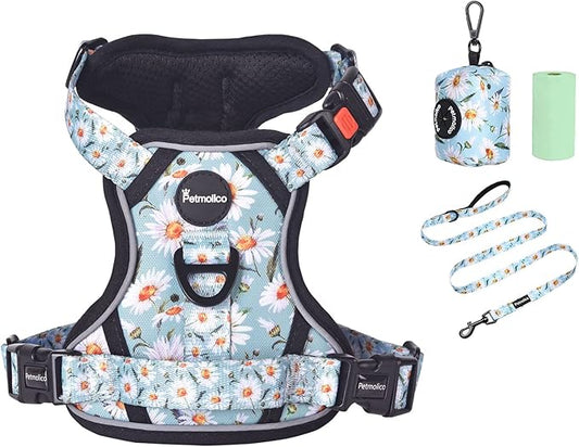 Petmolico No Pull Dog Harness Set with Leash Attachment Easy Control Handle Reflective Harness Vest Small Breed, Puppy Vest and Leash Set with Poop Bag Holder, Small - Daisy