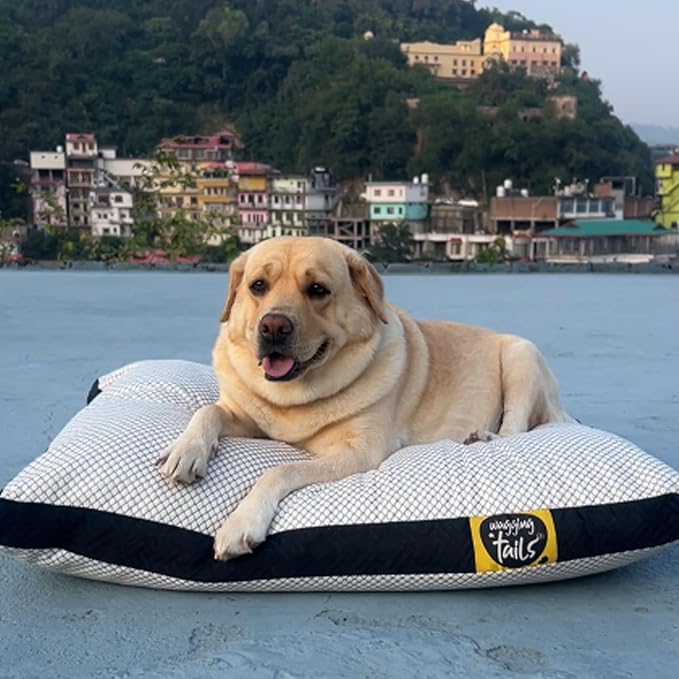 Wagging Tails Dog Bed Mattress with Waterproof Washable Removable Cover | Microfiber & Shredded Memory Foam Dog Crate Bed | Durable, Soft, Cozy Comfort Sleeping Bag for Dog, Cat & Pets | Small