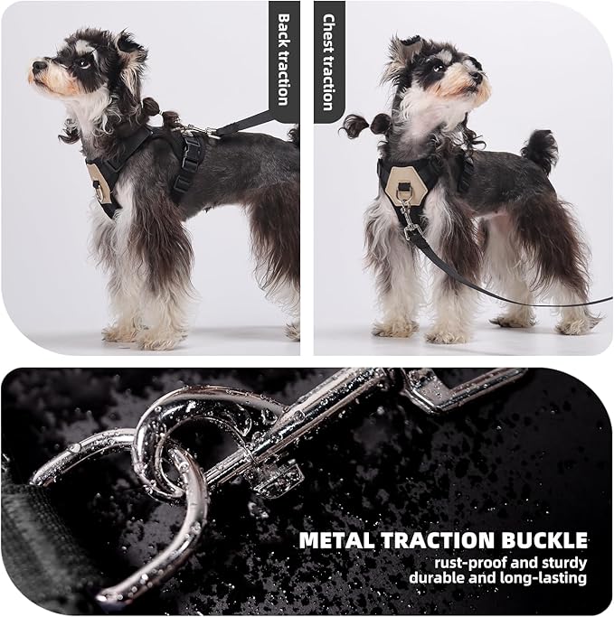 Small Dog Harness and Leash Set, Breathable Mesh Puppy Harness, Adjustable Dog Harness for Small Medium Large Dogs, No-Pull Pet Harness for Daily Walking (Black, Medium)