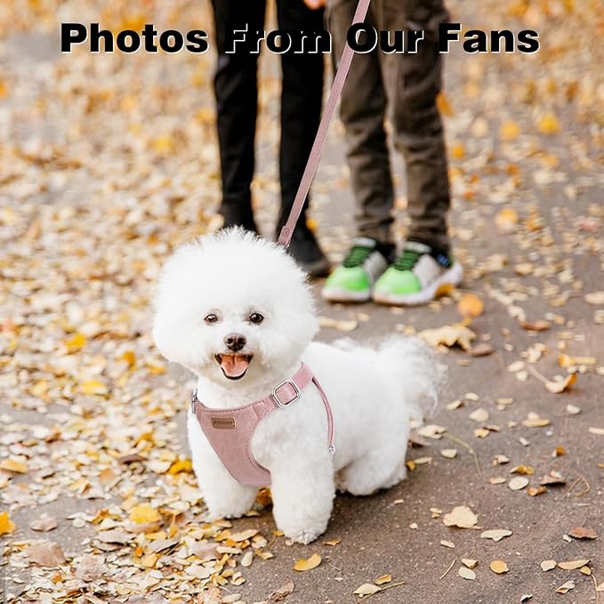 Dog Harness and Leash Set, XXS No Pull Adjustable Puppy Harness with Multifunction Pink Dog Leash and Dog Collar, Soft No Choke Escape Proof Pet Harness Vest for Small Dogs and Cats (Pink, S)